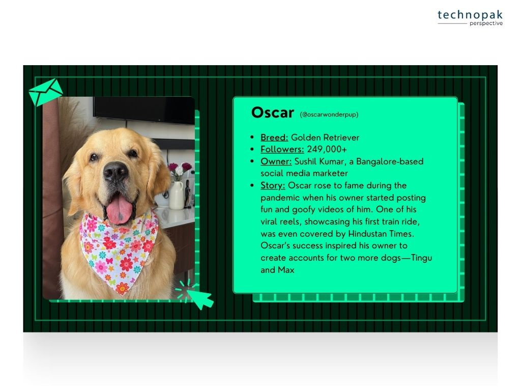 pet-influencers-oscar